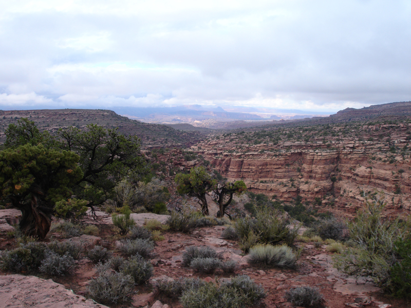 Moab2006 103