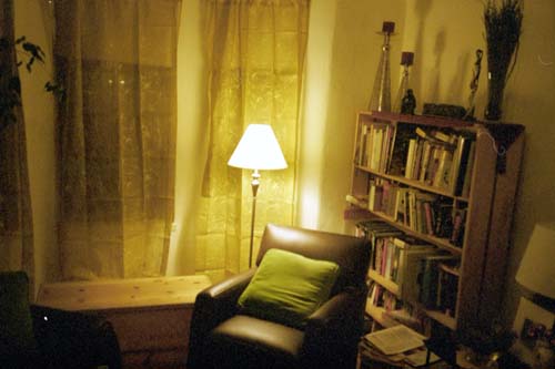 blanketchest_bookcase_insit
